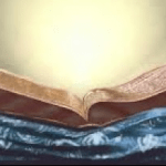 ਸ੍ਰੀ ਗੁਰੂ ਗ੍ਰੰਥ ਸਾਹਿਬ ਜੀ